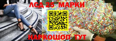 гидра Гатчина