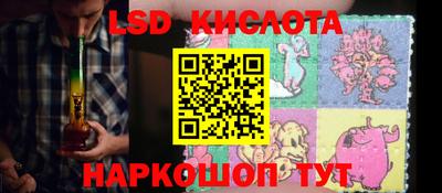 гидра Гатчина