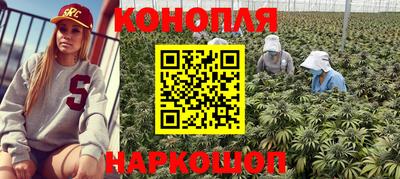 крисы Гагарин