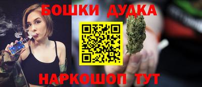 гидра Гатчина