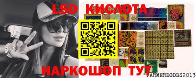 крисы Гагарин