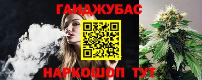 крисы Гагарин