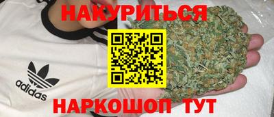 гидра Гатчина