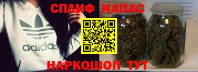 гидра Гатчина